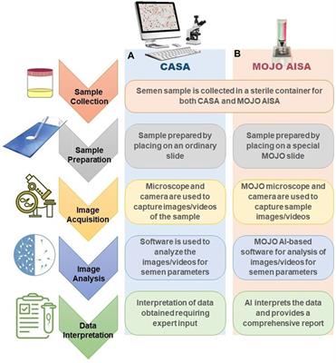 Revolutionizing semen analysis: introducing Mojo AISA, the next-gen artificial intelligence microscopy